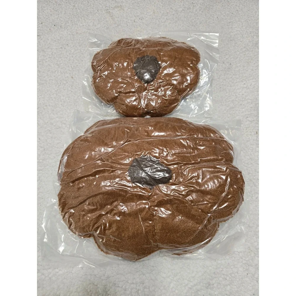 Set‎ of 2 Brown Fall Decorative Plush Cushions Vacuum Sealed Pillows